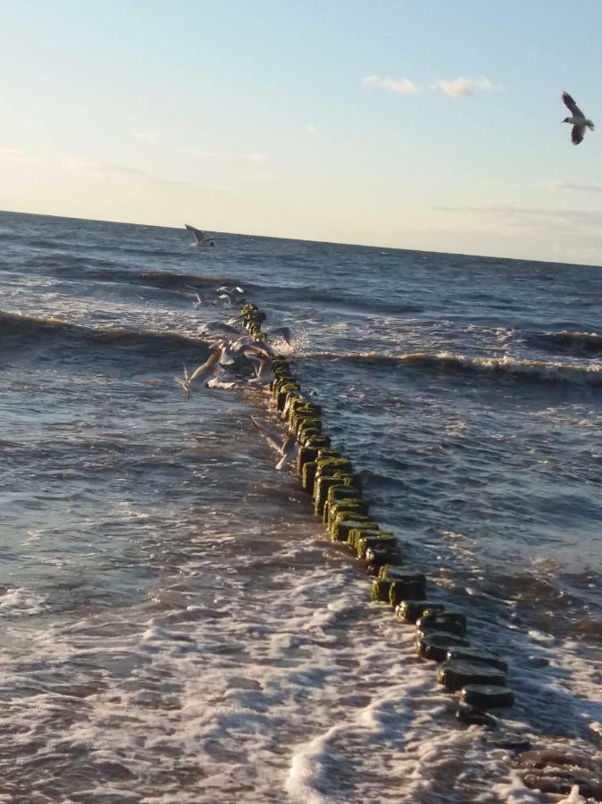 Limonkowy Podczele Kołobrzeg